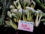 BokChoy