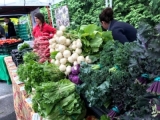 Vegetable bounty at Great Barrington Farmer's Market