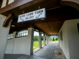 Visiting High Lawn Farm Dairy in Lee, MA