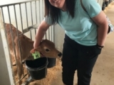 Lynne Gassiraro with High Lawn Farm denizens
