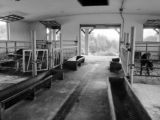 barn-bw