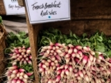 frenchradishes