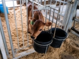 moo-1