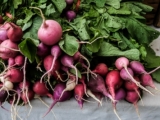 radishes