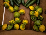 squash